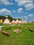 INDIANA CAMP przy SUNTAGO PARK